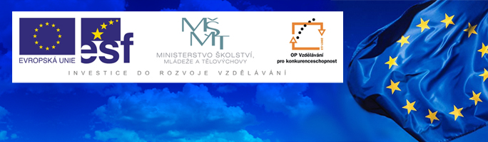 projekty financovan� z evropsk�ch fond� FAMO